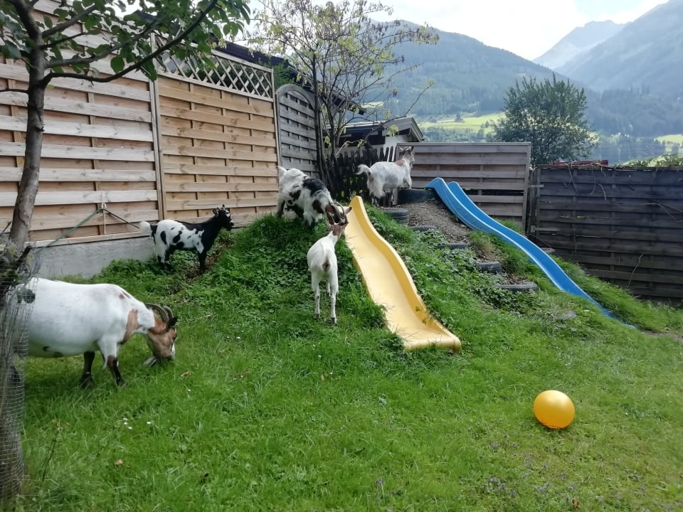 Gartenanlage Hotel Gasthof Kröll