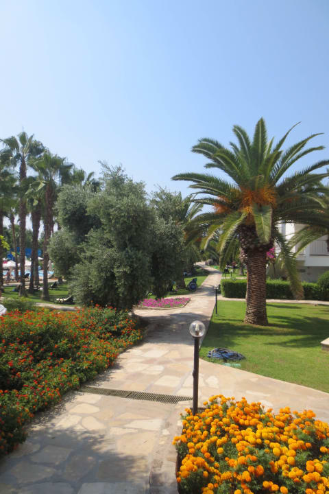 Garten Arum Barut Collection