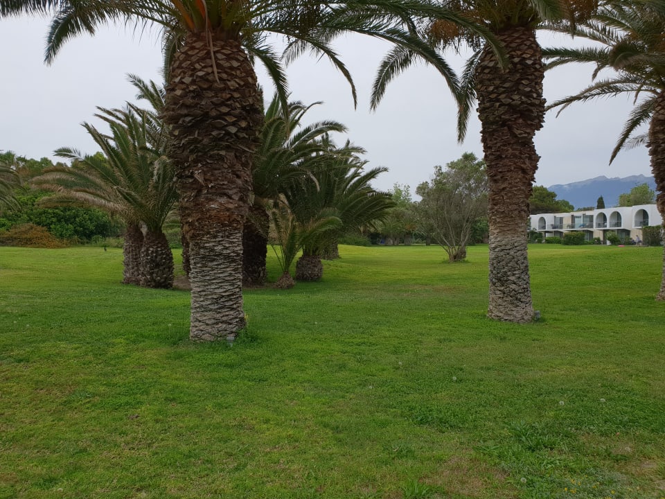 Gartenanlage Caravia Beach Hotel
