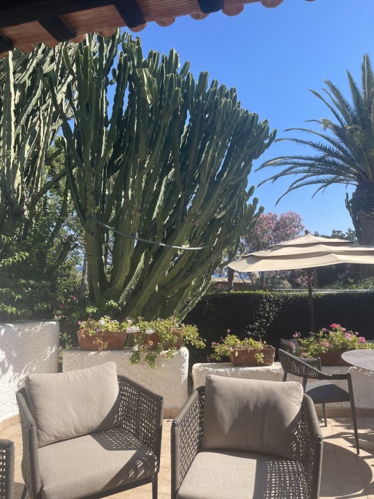 Gartenanlage Cormoran Hotel & Residence