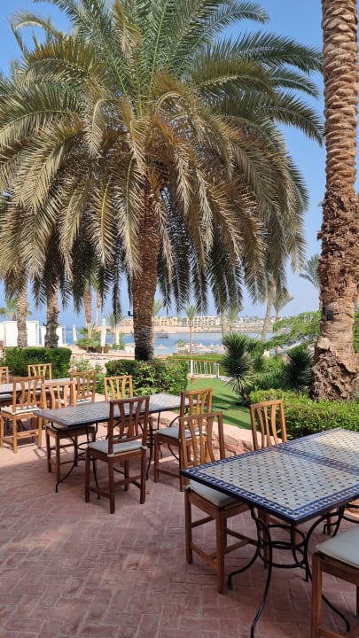 Gastro Steigenberger Coraya Beach - Adults only