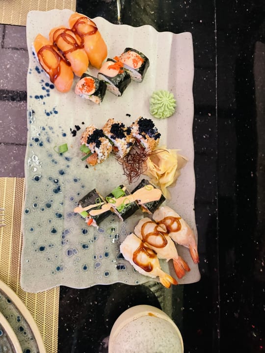 Gastro Papillon Ayscha