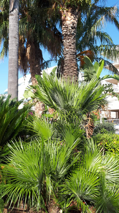 Gartenanlage AQUA Hotel Onabrava & Spa