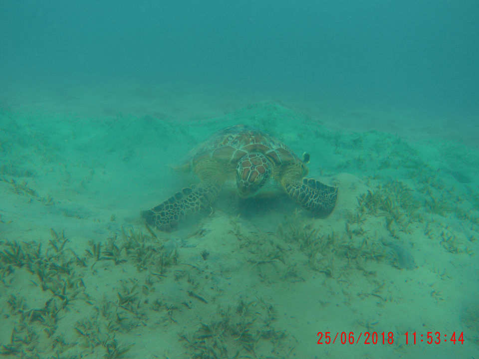 Strand Three Corners Sea Beach Resort