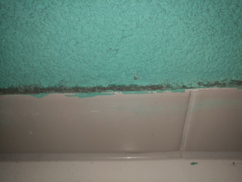 Zimmer Center Parcs Park Nordseeküste