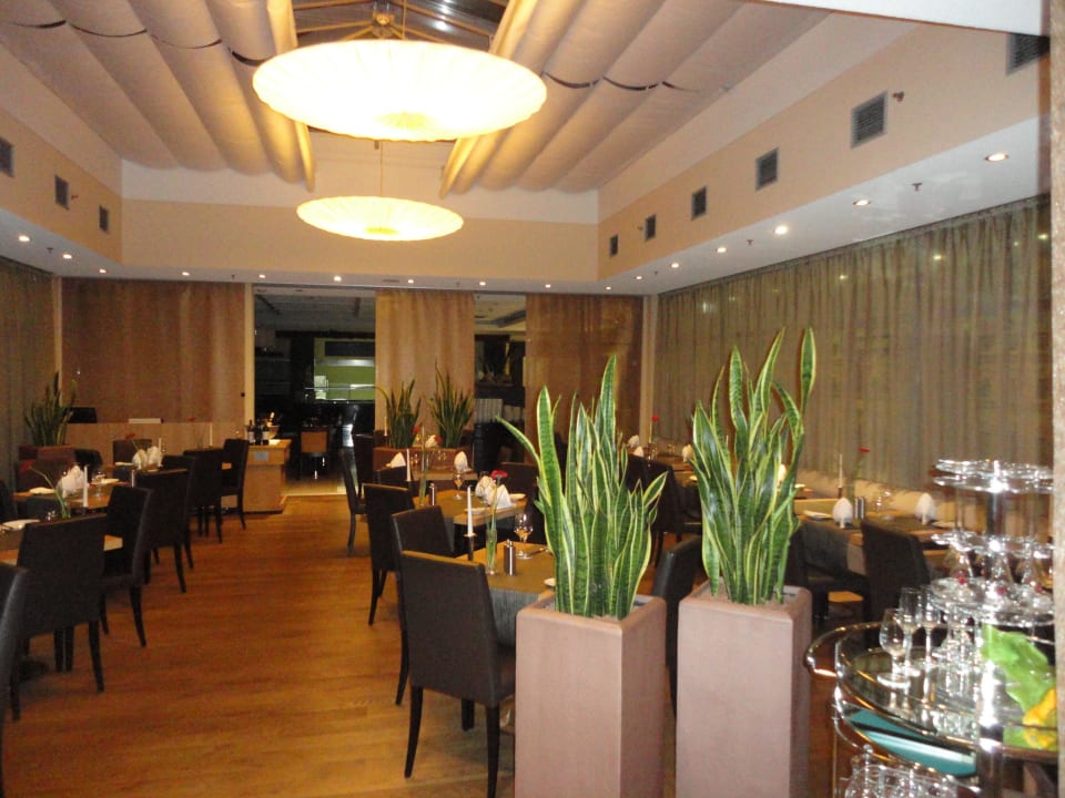 Eines der Restaurants Lindner Hotel Vienna Am Belvedere, part of JdV by Hyatt
