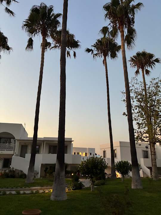 Gartenanlage Palladium Hotel