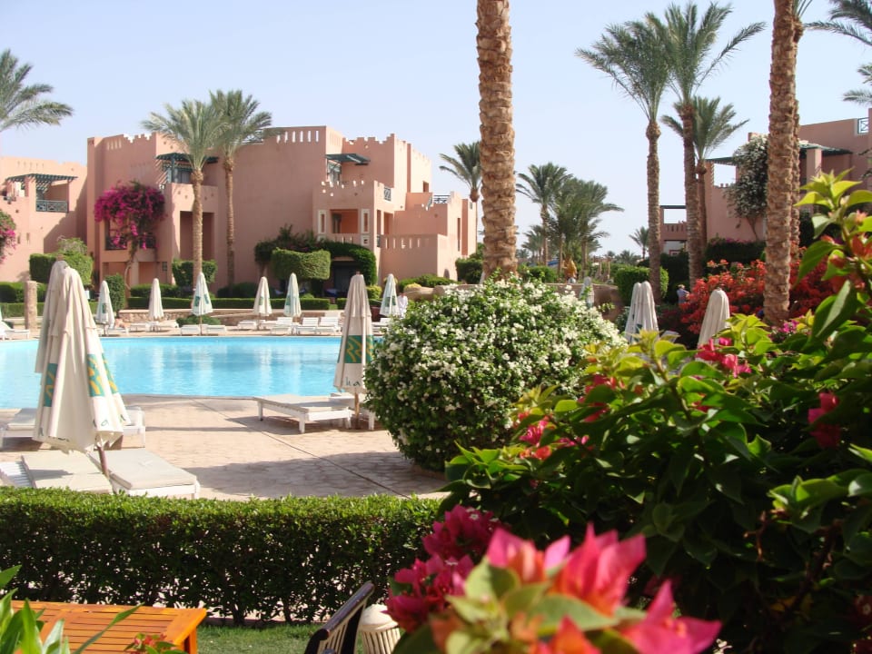 Widok na basen Rehana Sharm Resort Aqua Park & Spa