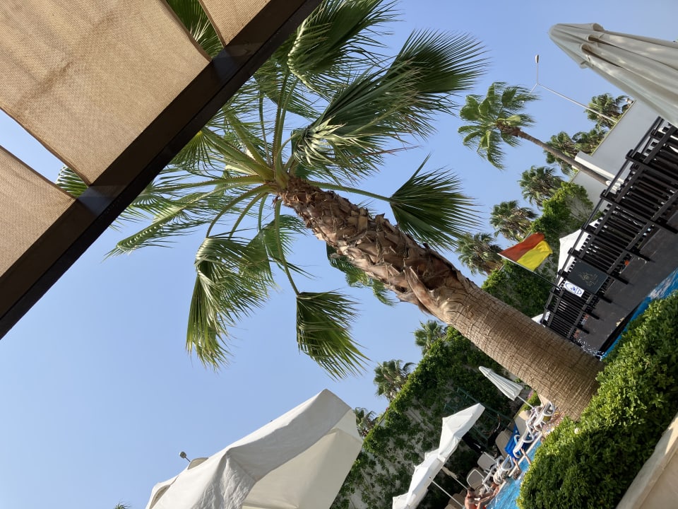 Pool Mary Hotel Side