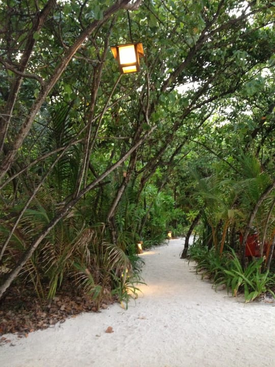 Weg über die Insel  NH Collection Maldives Reethi Resort