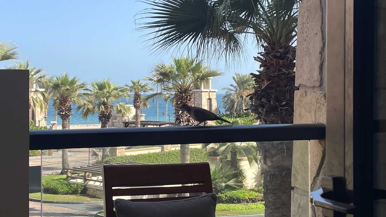 Zimmer Sofitel Dubai The Palm Resort & Spa
