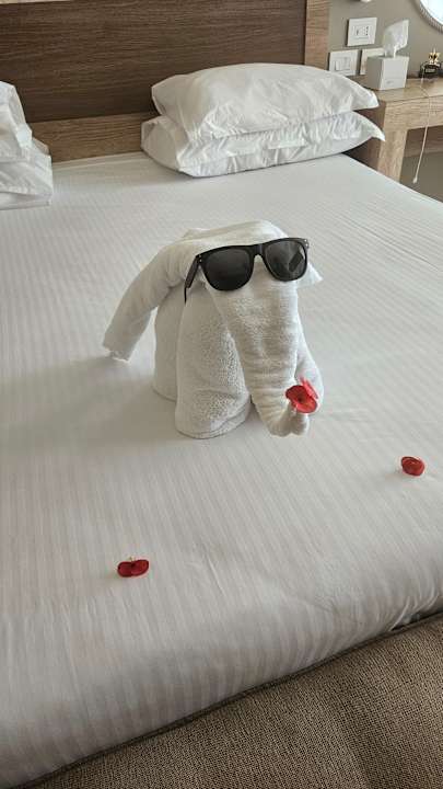 Gastro Steigenberger Resort Ras Soma