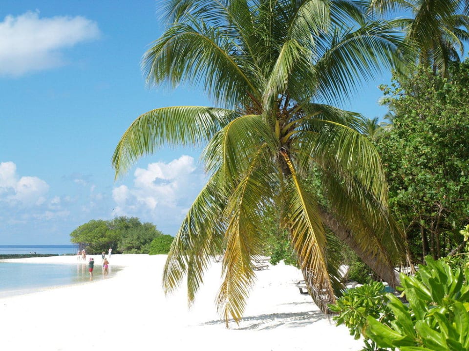 Kuredu Kuredu Island Resort & Spa