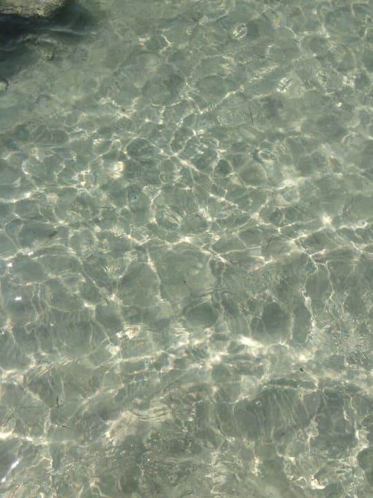 Traumhaftes Wasser Akumal Bay Beach & Wellness Resort