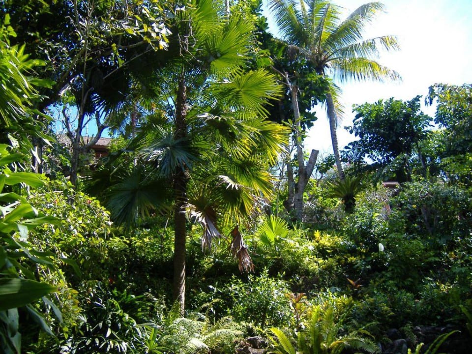 Hotel im Dschungel Hotel Tjampuhan