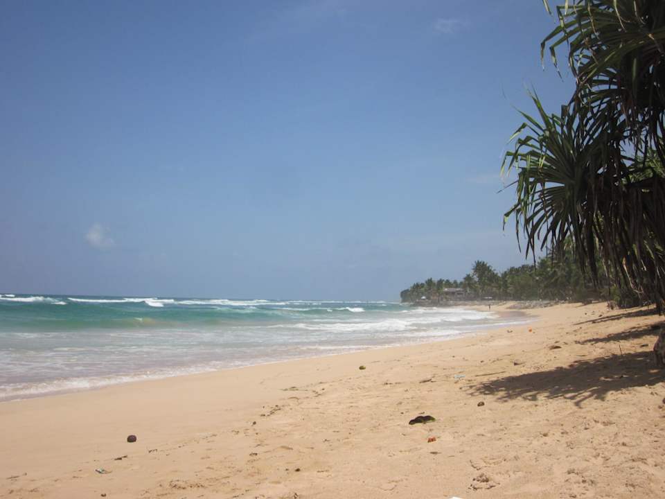 Ausblick nach rechts direkt vor dem Hotel Hotel Haus am Meer Wilde Ananas