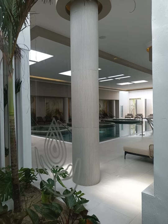 Pool Hotel Riu Palace Macao - Adults only