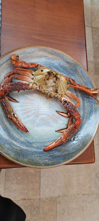 Gastro ananea Hurghada