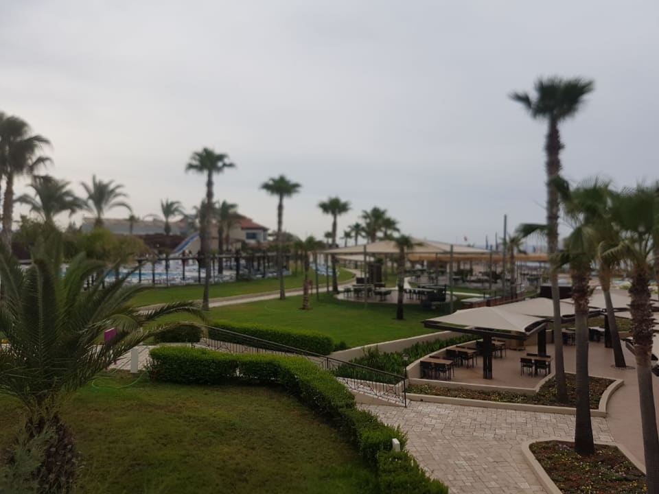 Gartenanlage TUI BLUE Palm Garden
