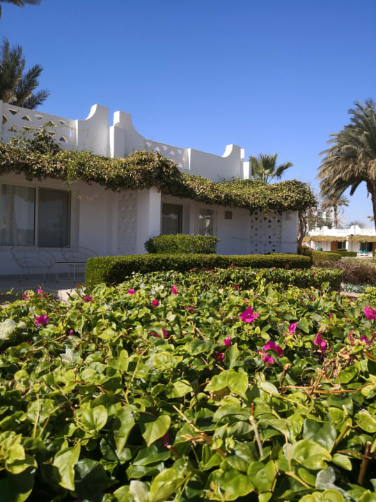 Ausblick Shams Safaga Resort