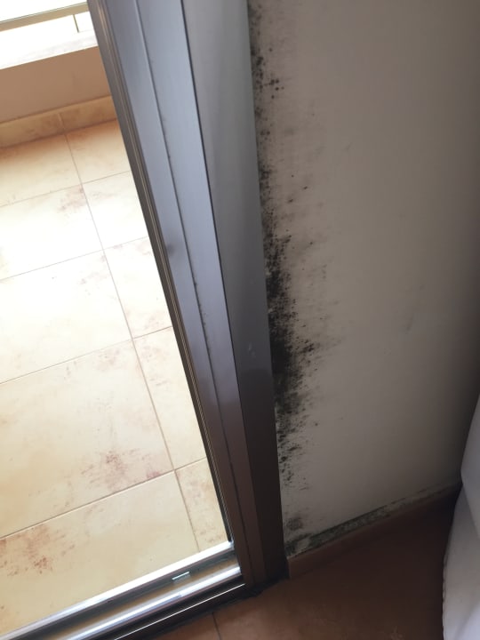 Zimmer Elba Carlota Beach & Golf Resort