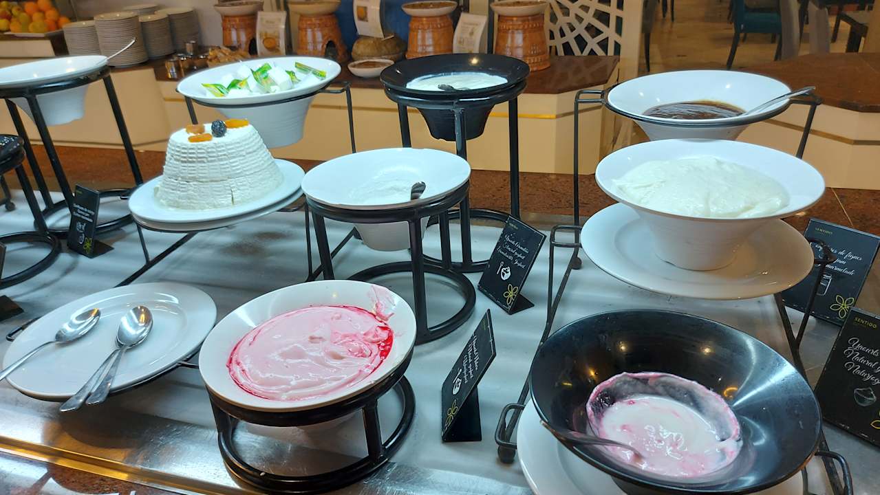 Gastro Sentido Bellevue Park