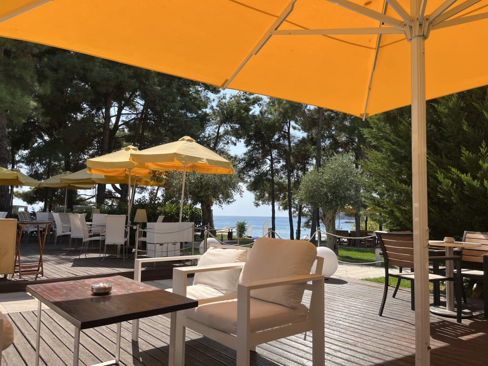 Gastro Hotel Royal Paradise Beach Resort & Spa