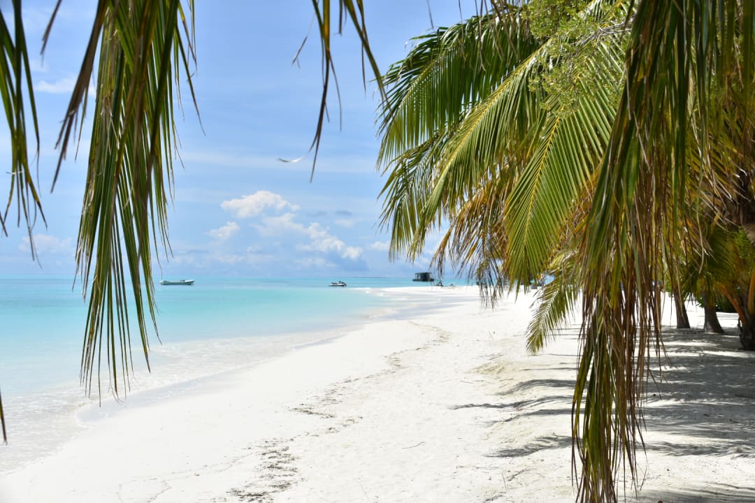 Strand Meeru Maldives Resort Island