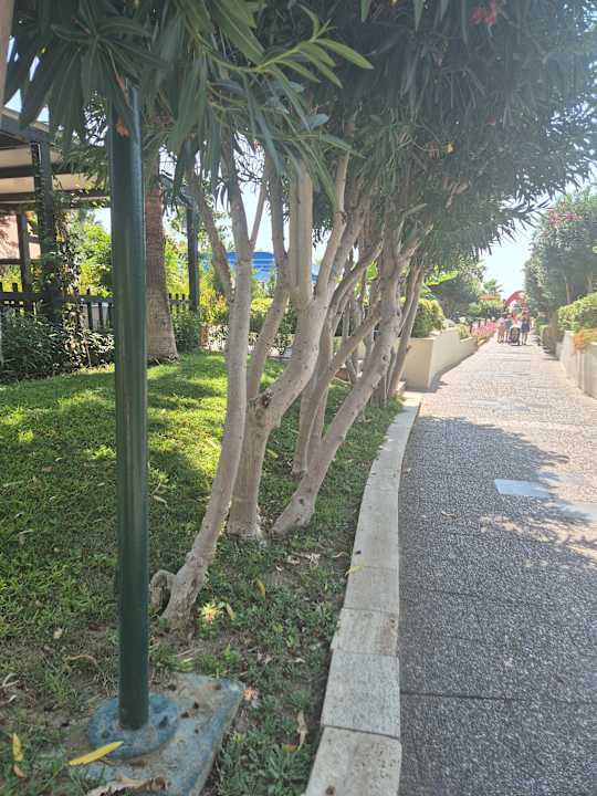 Strand VONRESORT Golden Beach