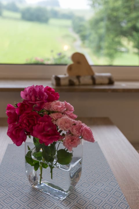 Ausblick Ferienwohnungen Landhaus Meran