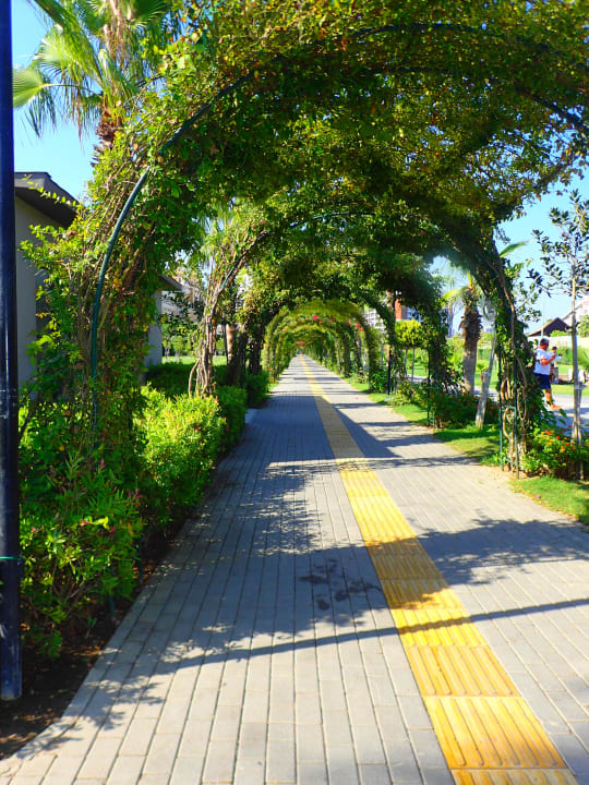 Gartenanlage Royal Seginus