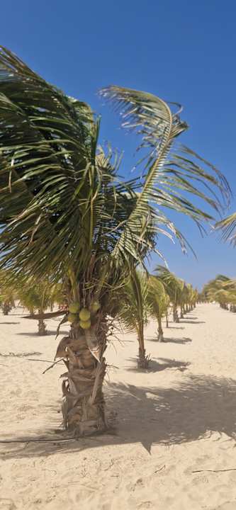 Strand Hotel Riu Palace Santa Maria