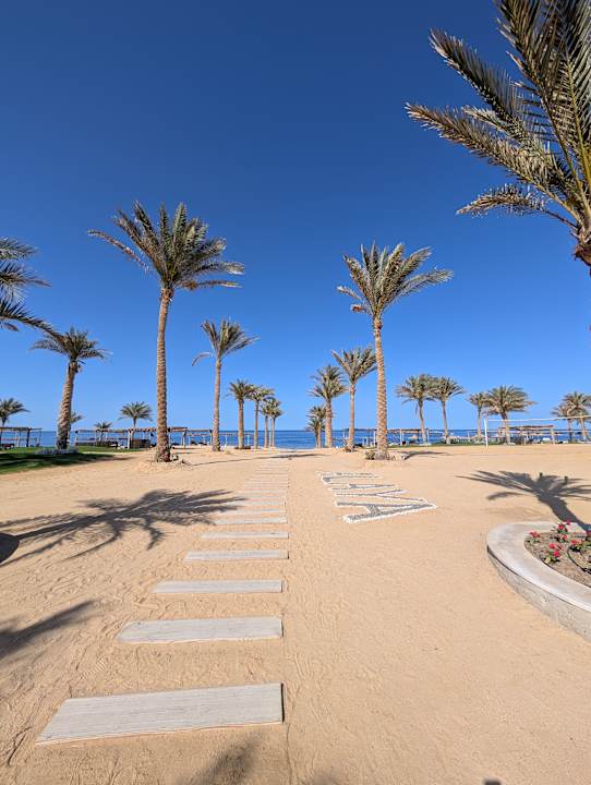 Strand Steigenberger Resort Alaya Marsa Alam - Red Sea - Adults only