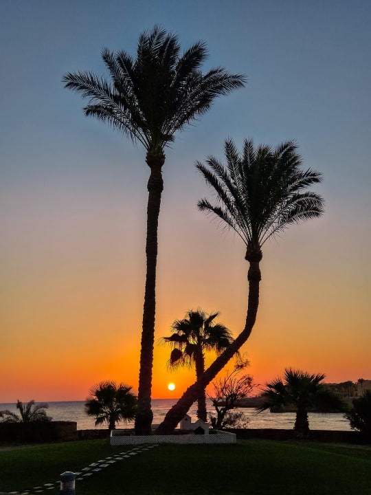 Gartenanlage Steigenberger Coraya Beach - Adults only