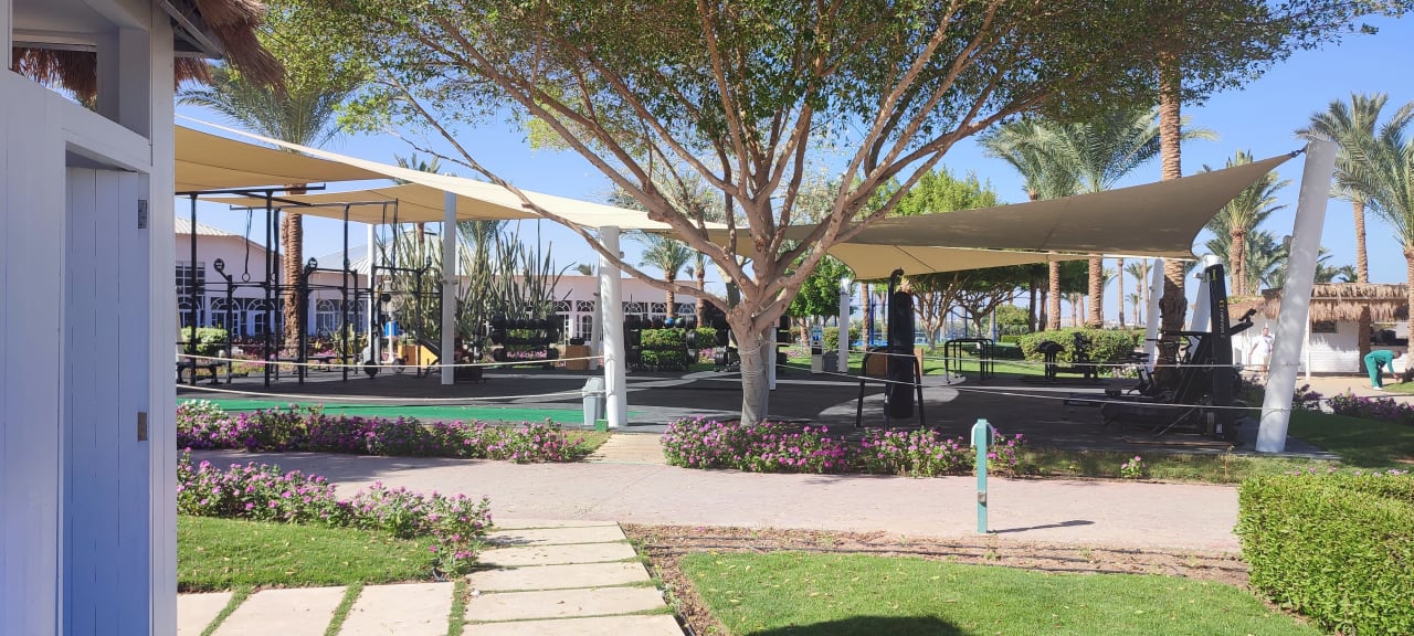 Sport & Freizeit Desert Rose