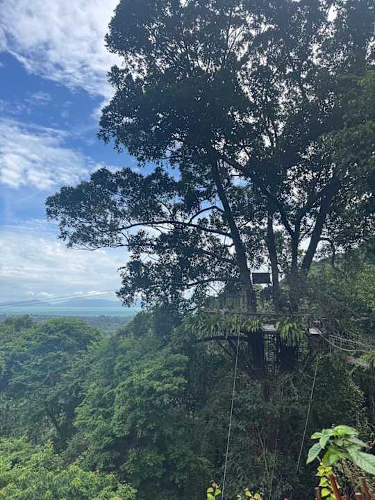 Ausblick Sheraton Samui Resort