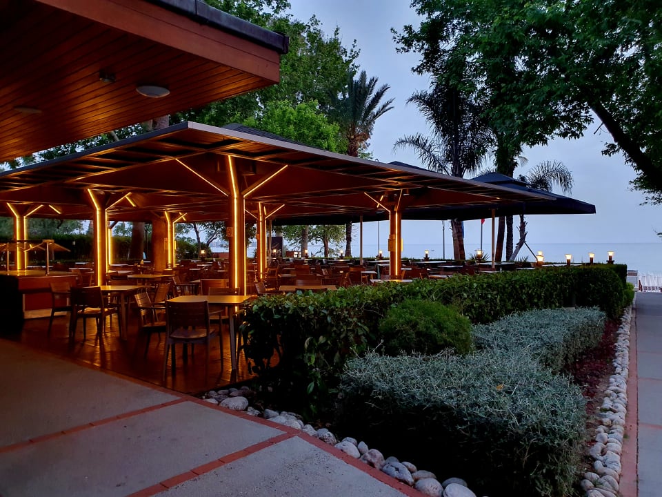 Gastro Side Star Elegance