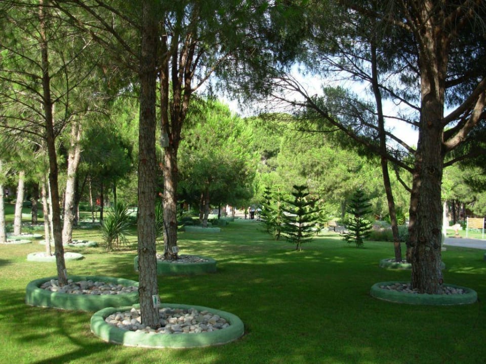 Garden in the back-yard Voyage Belek Golf & Spa