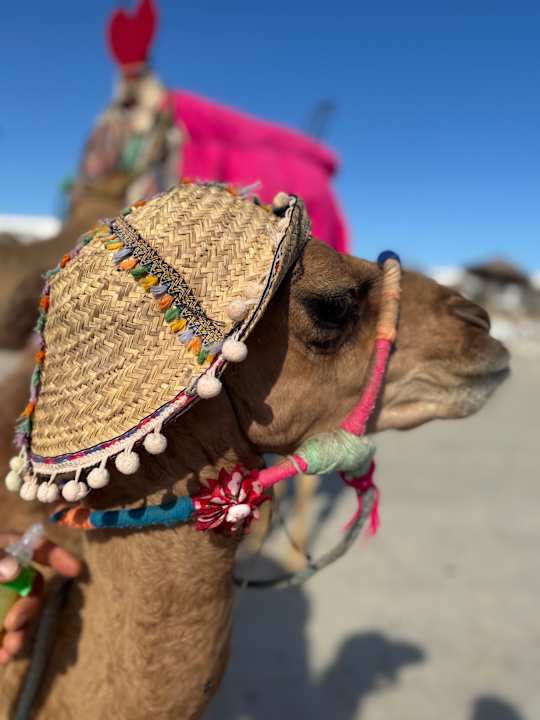 Strand Iliade Aqua Park Djerba