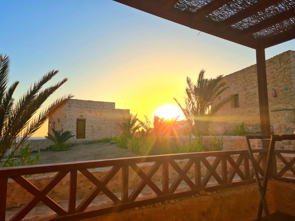 Außenansicht The Oasis Dive Resort