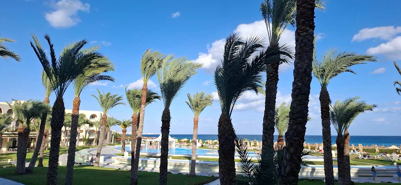 Ausblick Iberostar Waves Averroes