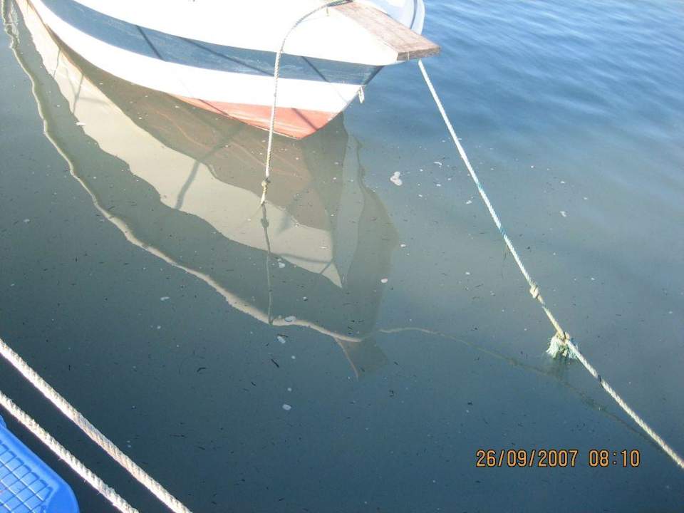 "Sauberes" Wasser Hotel Bravo Djerba