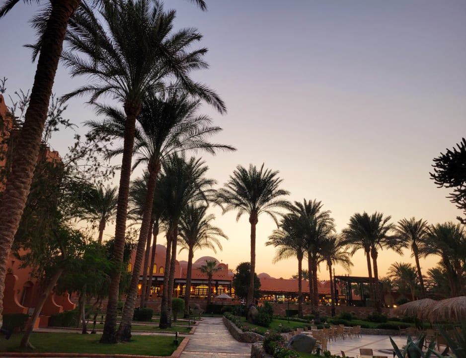 Gartenanlage Jaz Makadi Oasis Resort