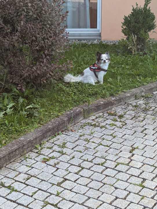 Pool Vitalhotel Quellengarten