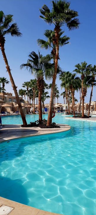 Pool Pickalbatros Citadel Resort