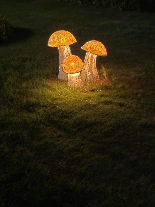 Gartenanlage Sentido Akassia Beach