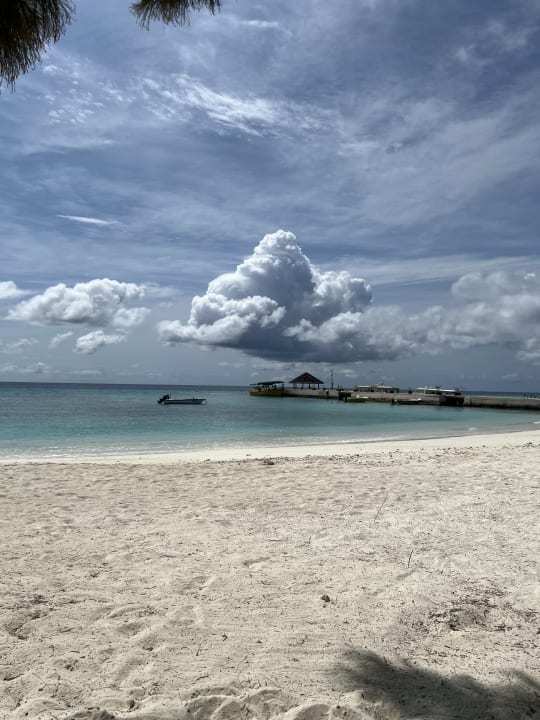 Strand Summer Island Maldives