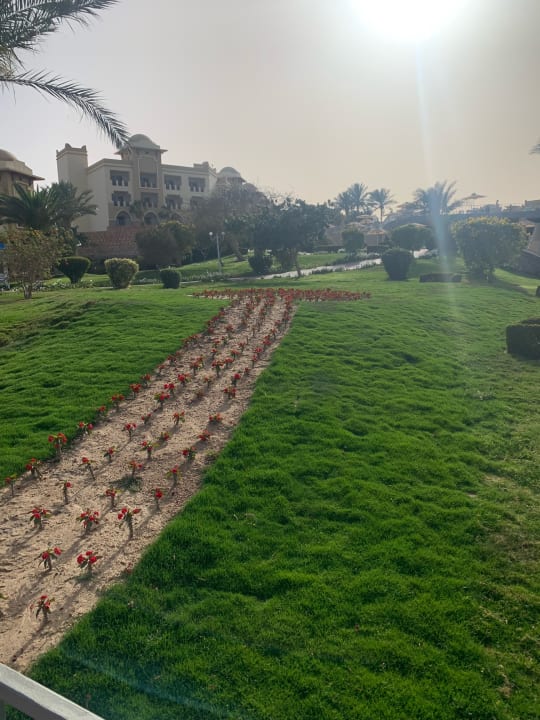 Ausblick Serenity Alpha Beach