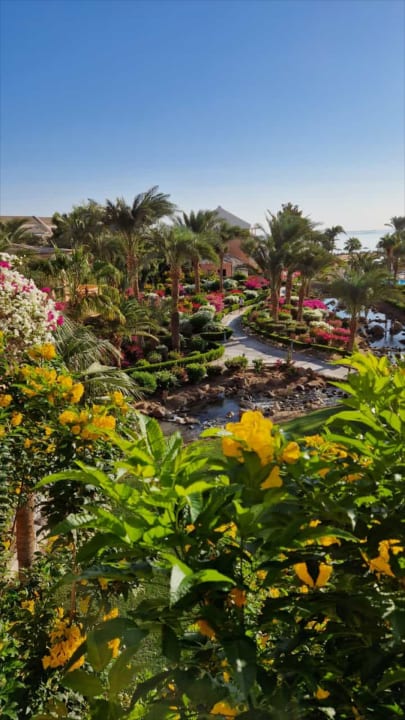 Ausblick Mövenpick Resort & Spa El Gouna
