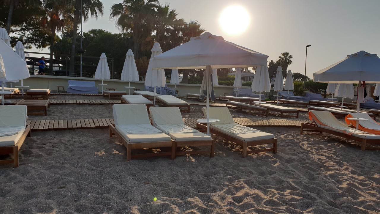 Strand Acanthus Cennet Barut Collection